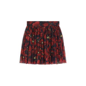 Skirt Dolce & Gabbana